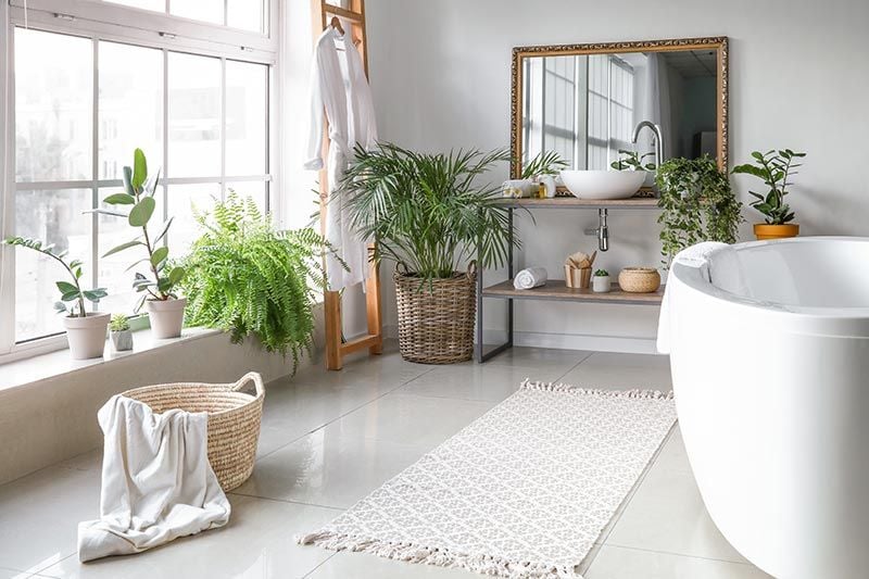 Baño decorado con plantas: Ideas y consejos