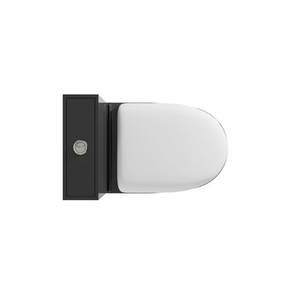 WC en acier inoxydable noir Neus