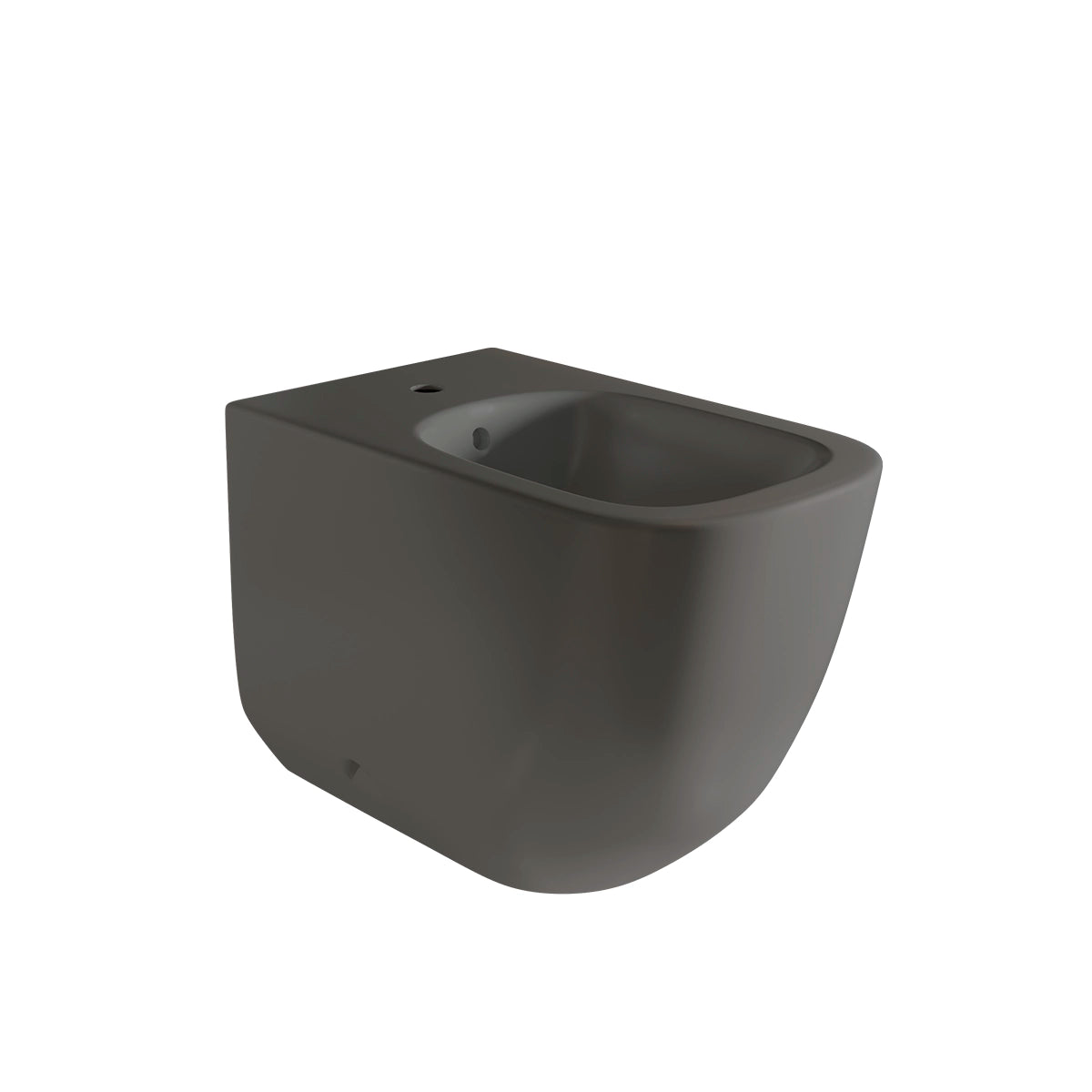 Bidet de toilette Zen