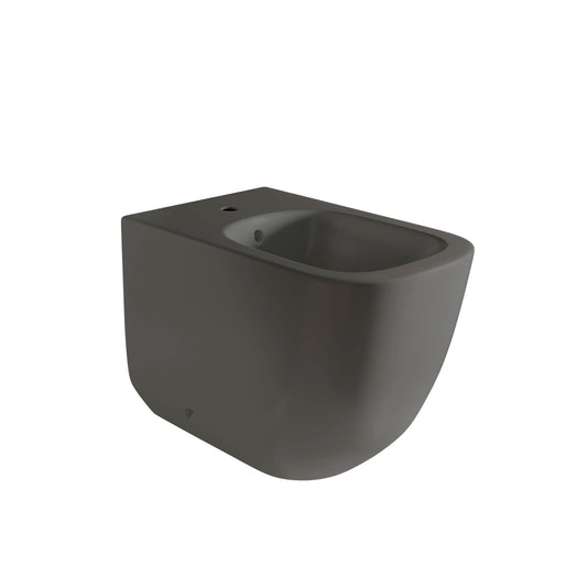 Bidet de toilette Zen