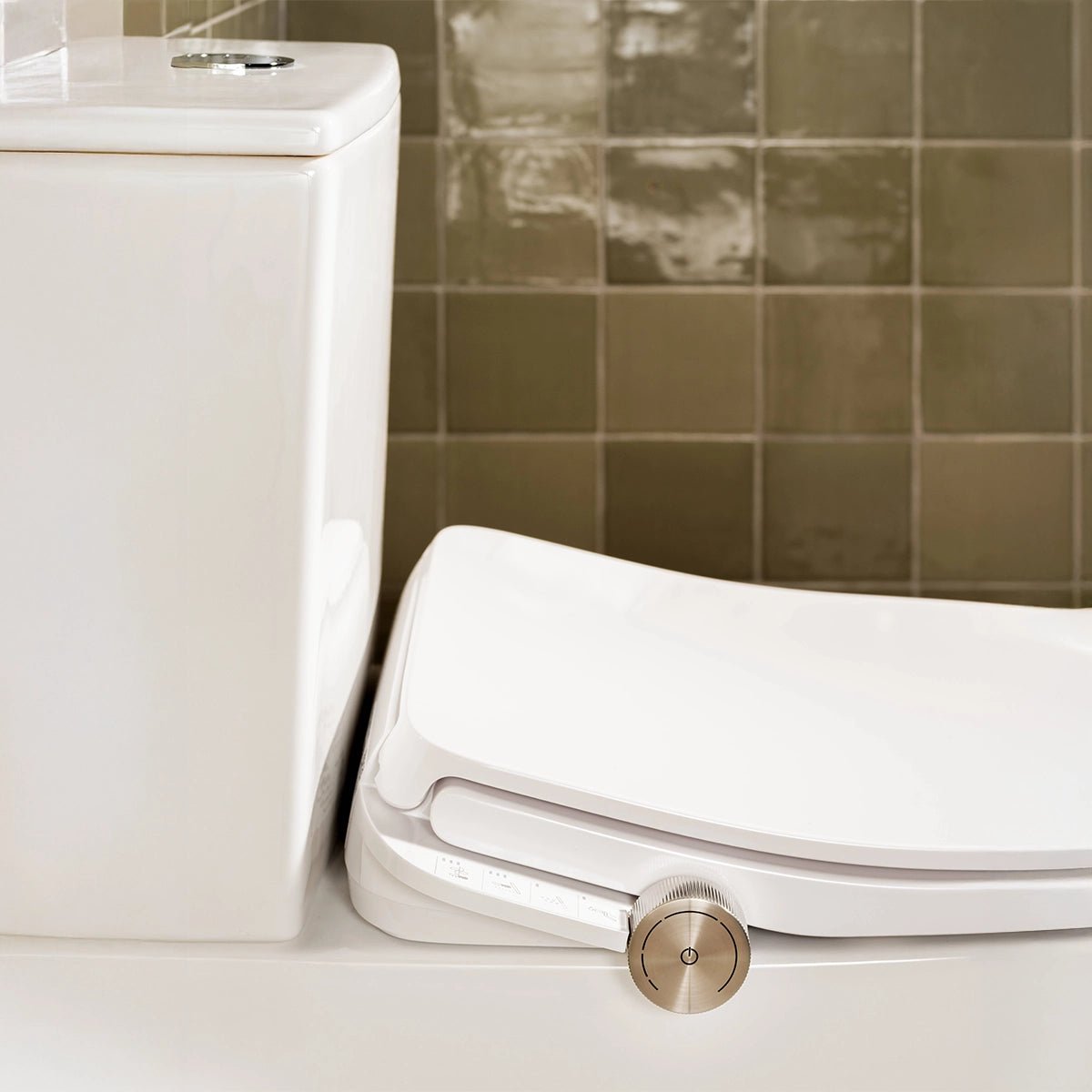 Inodoro Roca Ona In - Wash - Thebath